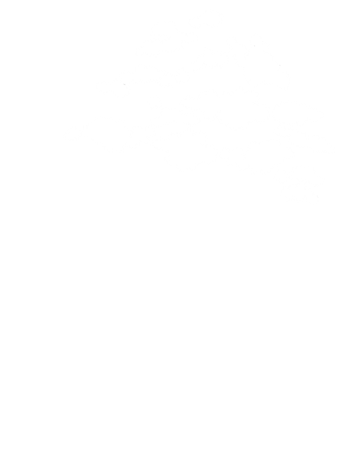 The Dayton Foundation Logo